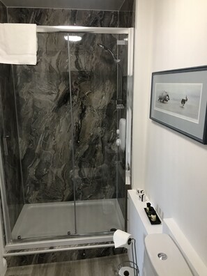 Shower, free toiletries, hair dryer, towels - Bankes Arms Hotel (Wareham)