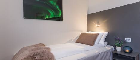 A bedroom with a bed, a nightstand, a wall-mounted picture of the aurora borealis, and a wall-mounted light fixture.