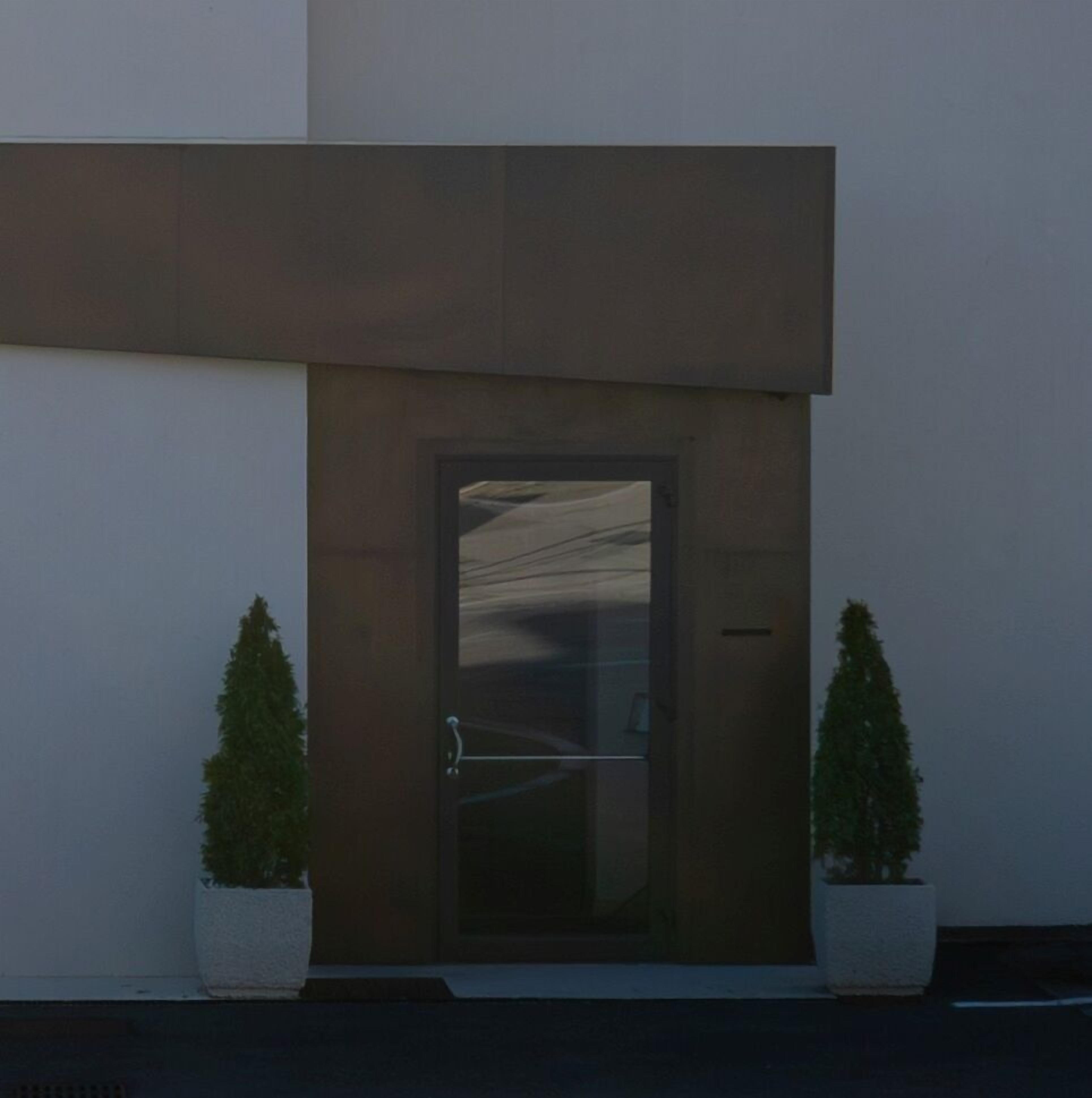Entrada moderna de un edificio con una puerta grande, dos plantas en macetas y una barandilla metálica.