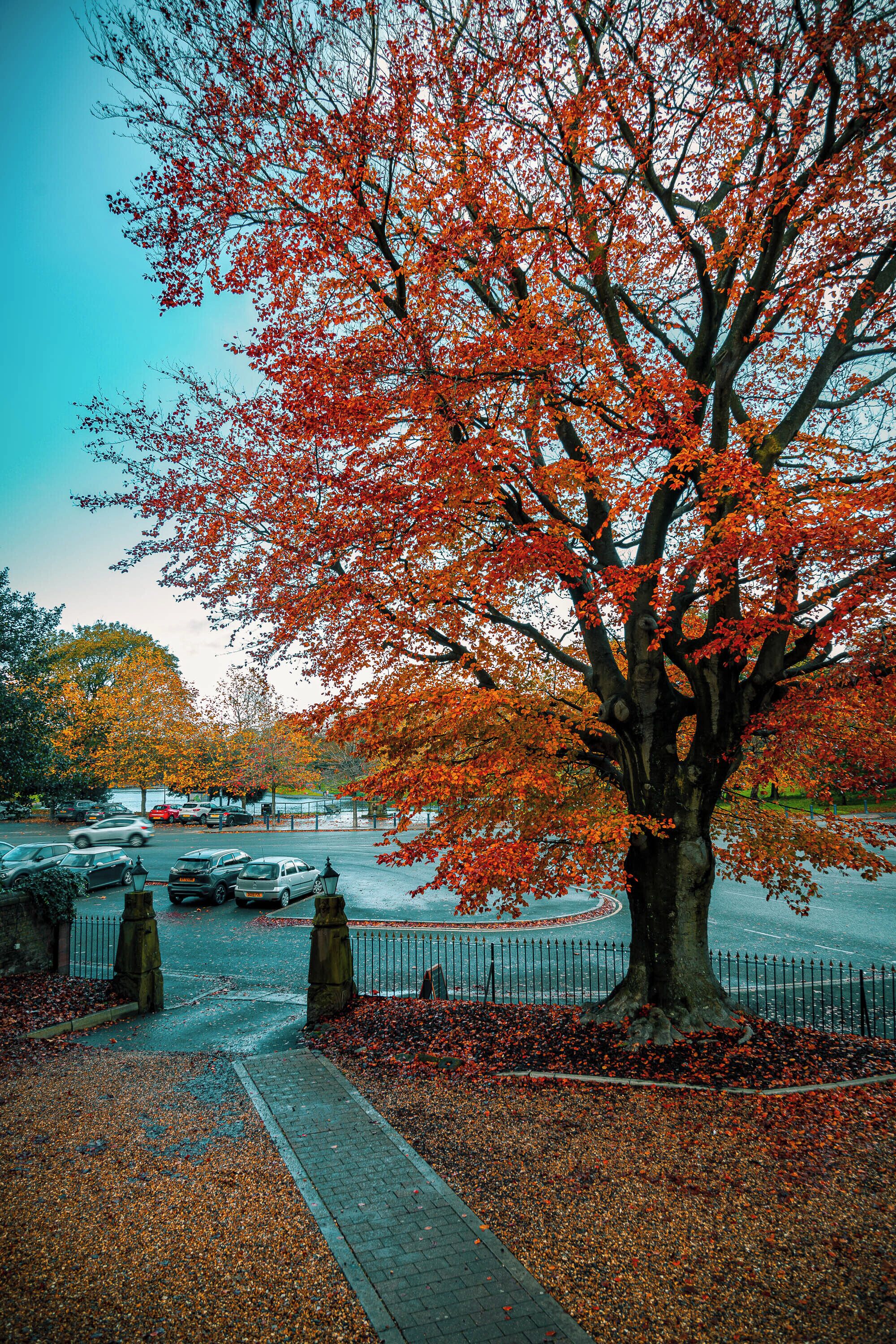 Foto - Sefton Park Hotel