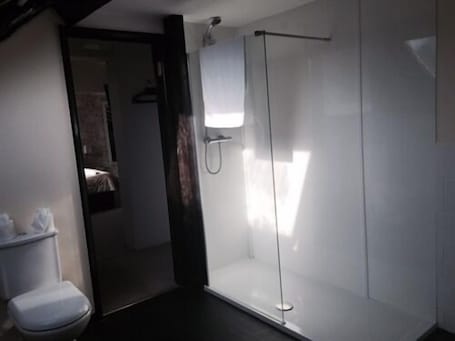 Suite, Ensuite | Bathroom. Coach House Hotel