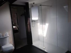 Suite, baño privado | Baño