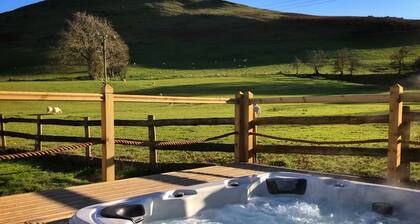 The Hand at Llanarmon