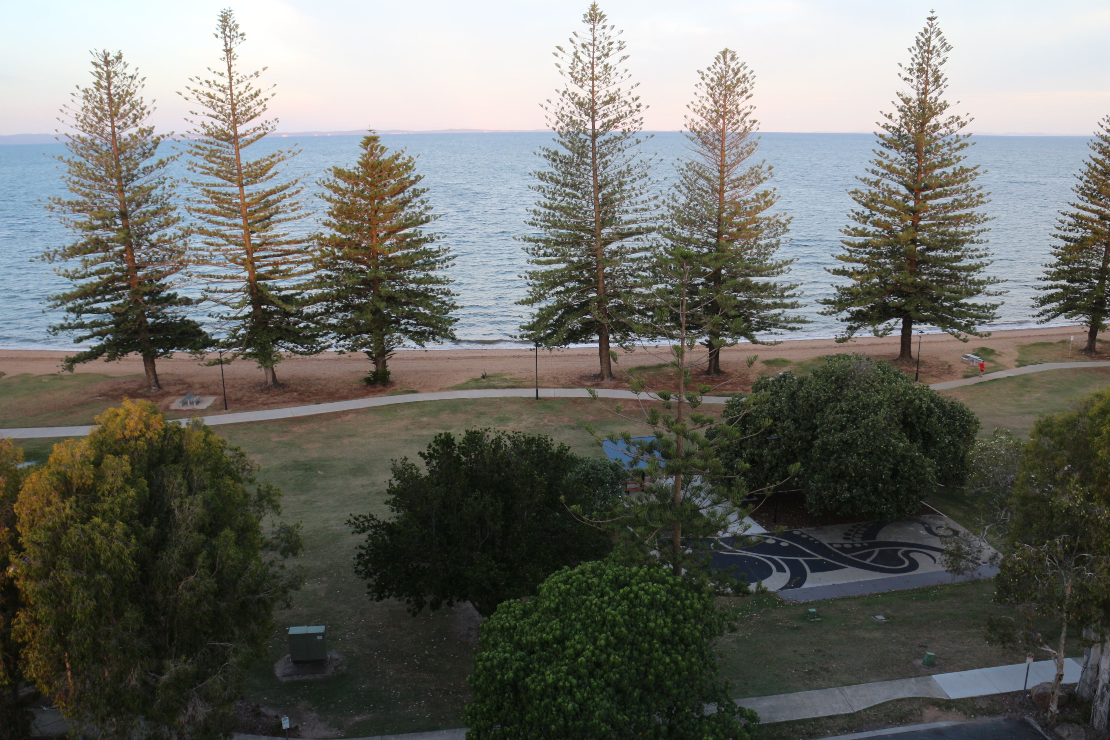 A coastal view with tall trees, a beach, and a paved area with a patterned design.