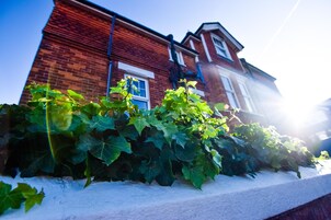 Vistas desde el alojamiento