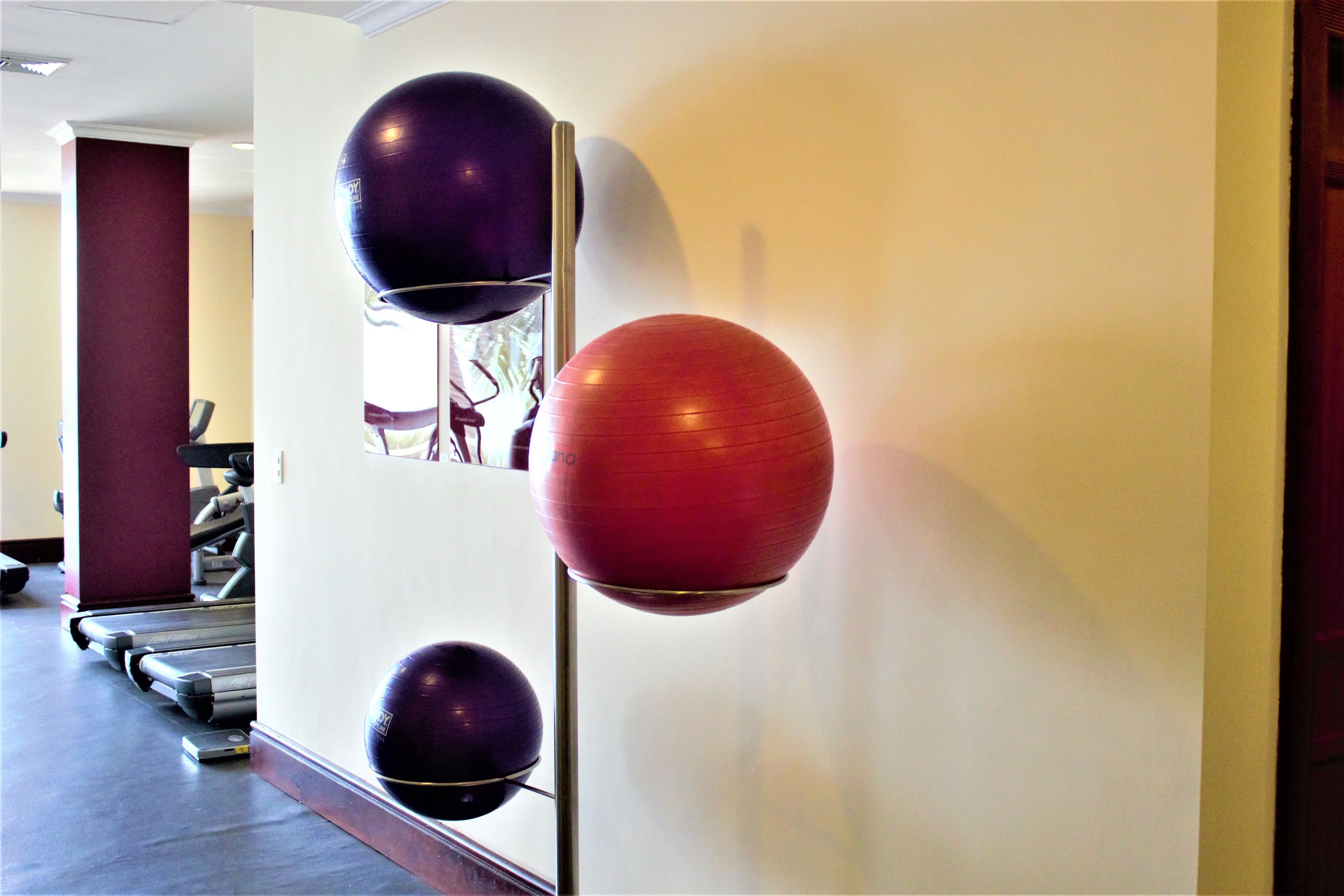 A gym with treadmills and exercise balls mounted on a wall.
