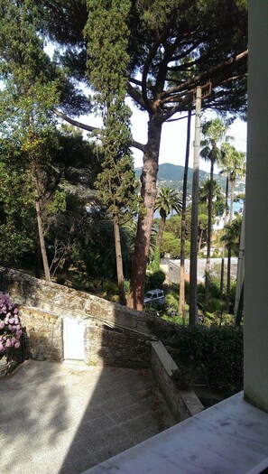 View from room