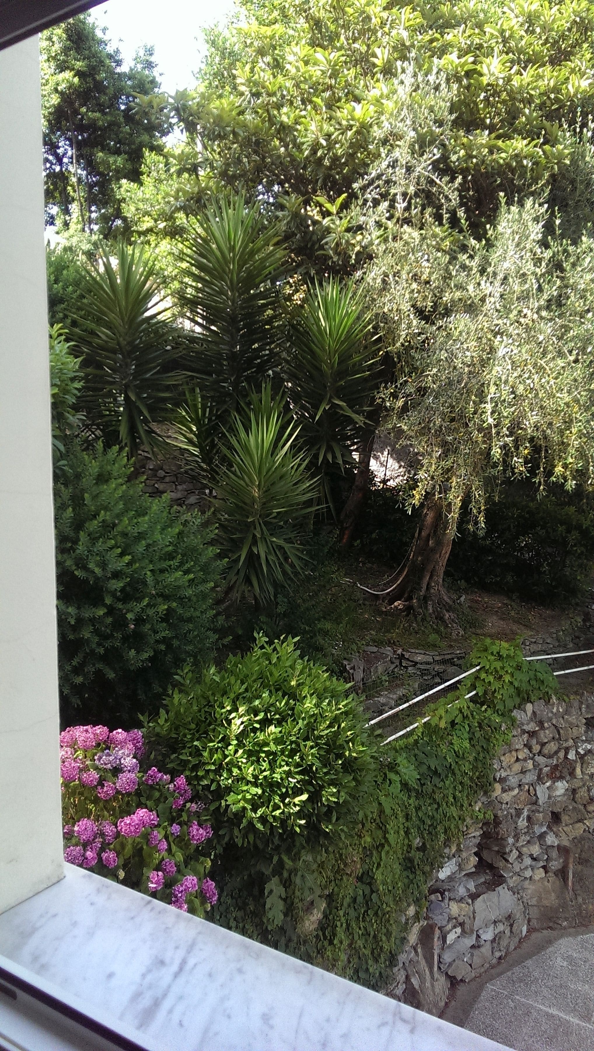 economy double room (lateral garden view) | garden view