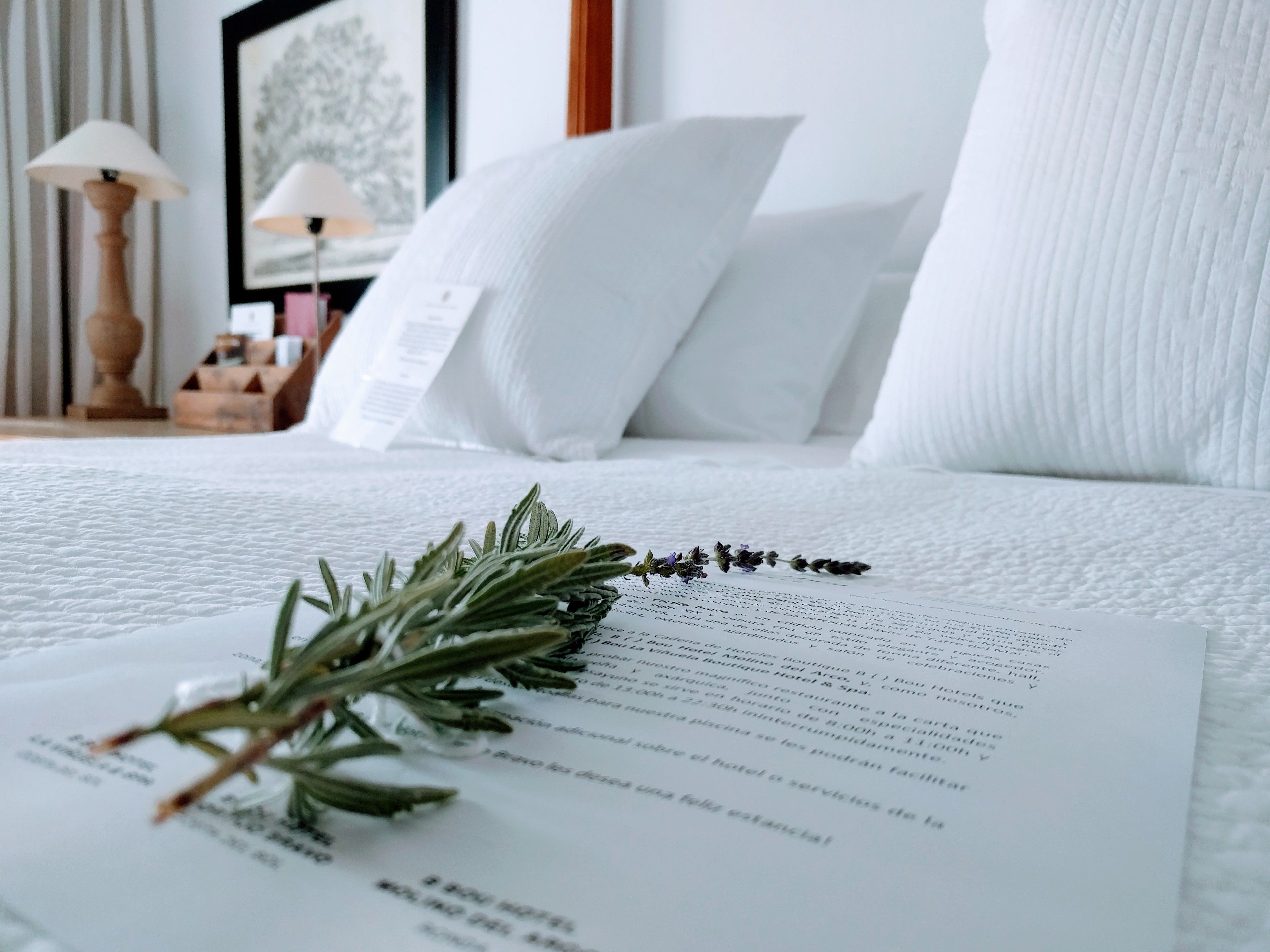 Foto - B Bou Hotel Cortijo Bravo