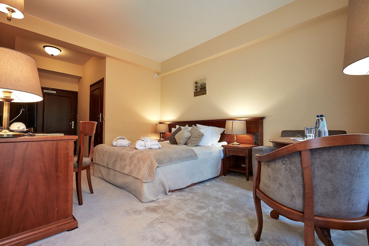 Ein Hotelzimmer mit einem Bett, einem Schreibtisch, einem Sessel und einem Nachttisch.