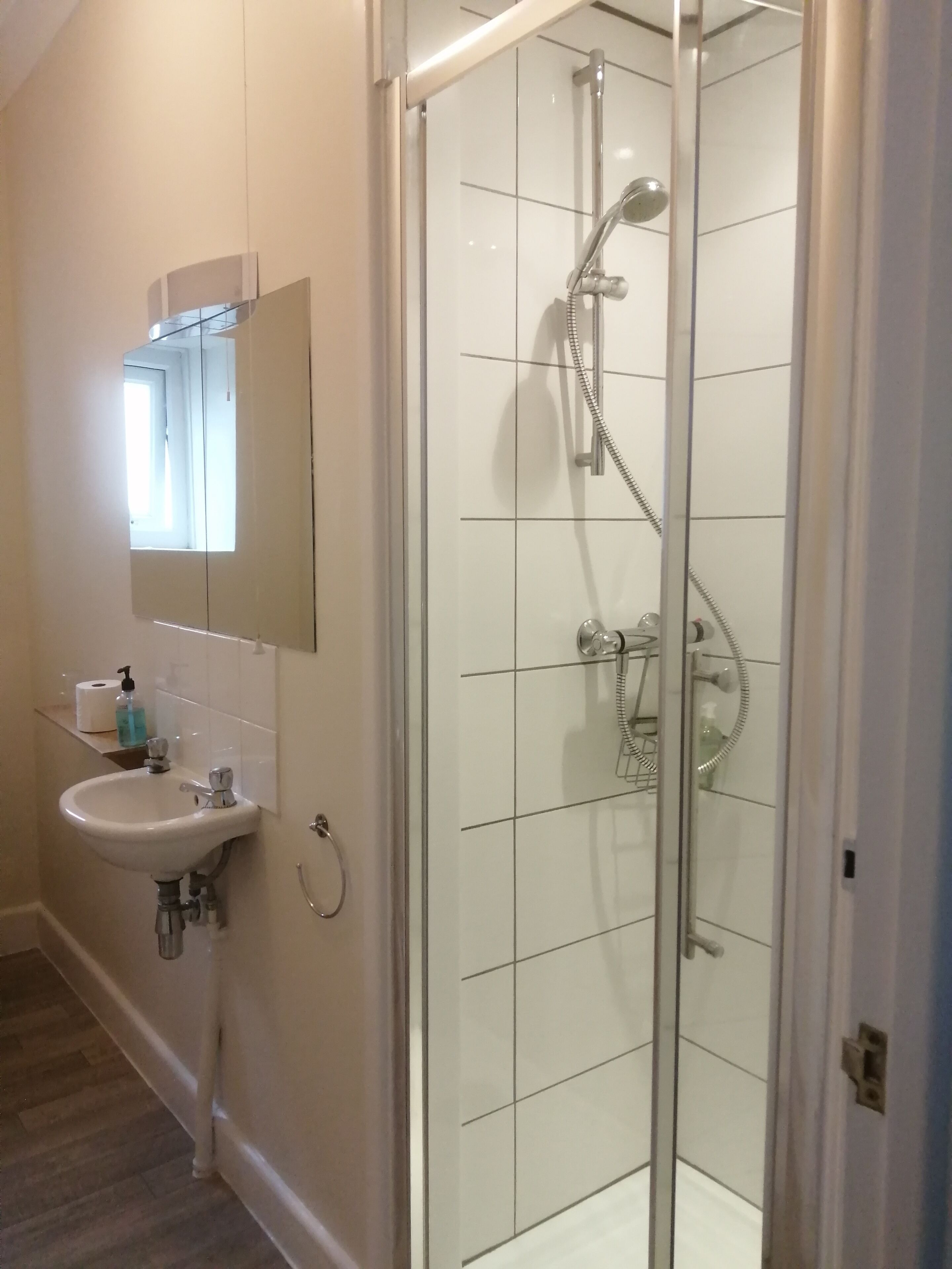 A bathroom with a glass-enclosed shower, a sink with a mirror above it, and a toilet paper holder on the wall.