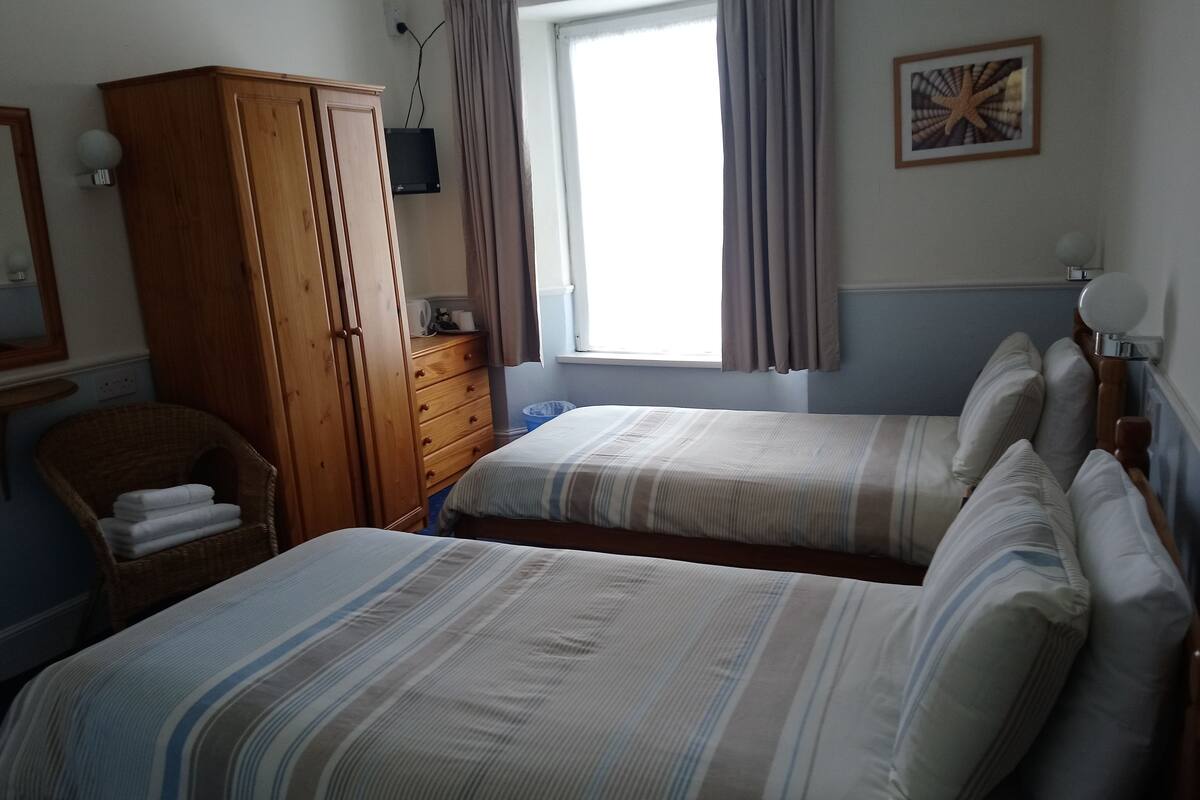 Twin Room, 2 Twin Beds, Non Smoking | Iron/ironing board (on request), WiFi (free), bed sheets