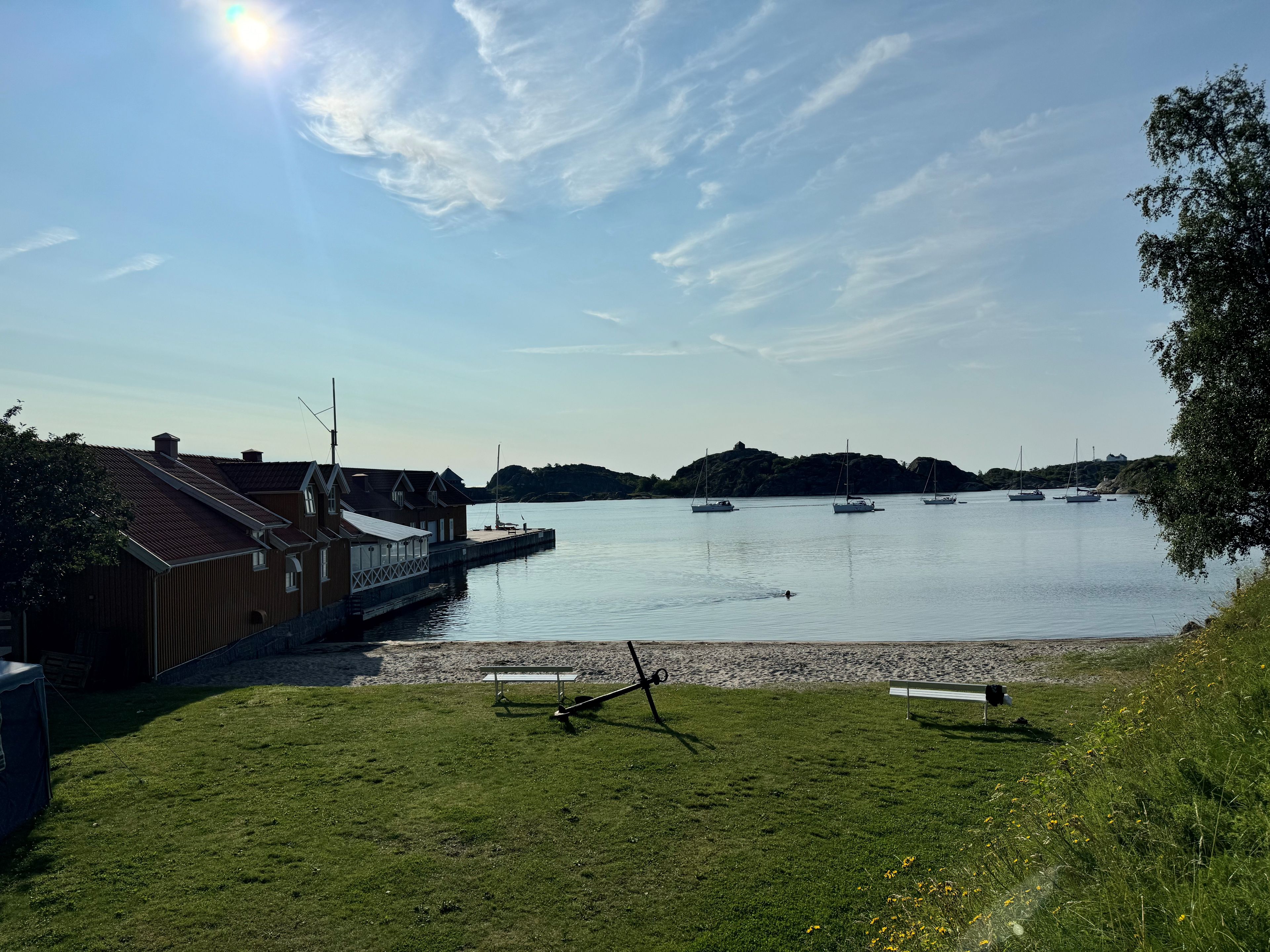A waterfront view with boats, a grassy area, and a building with a dock.