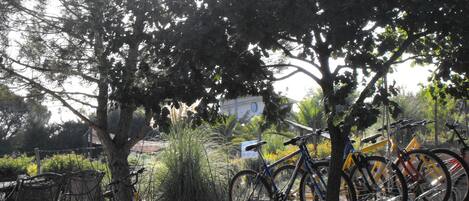 Bicicletas estacionadas bajo árboles en un espacio al aire libre.