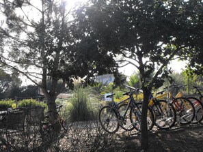 Bicycling