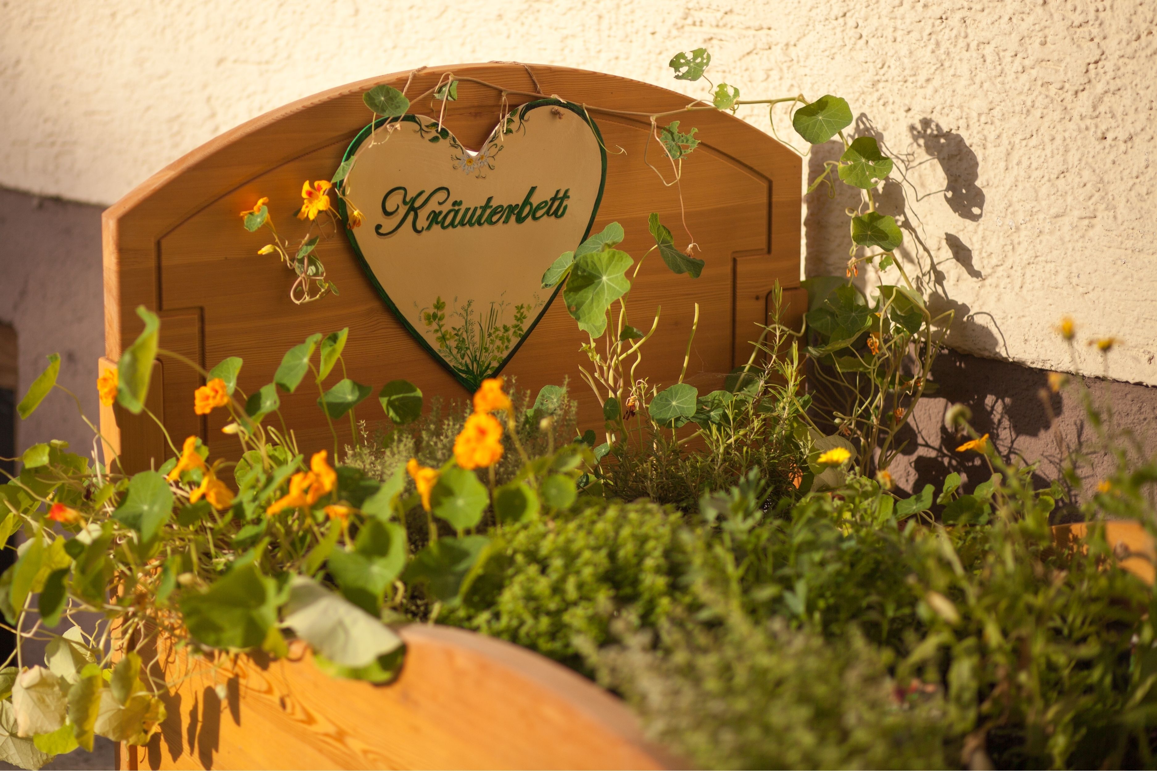 Photo - Hotel Sallerhof