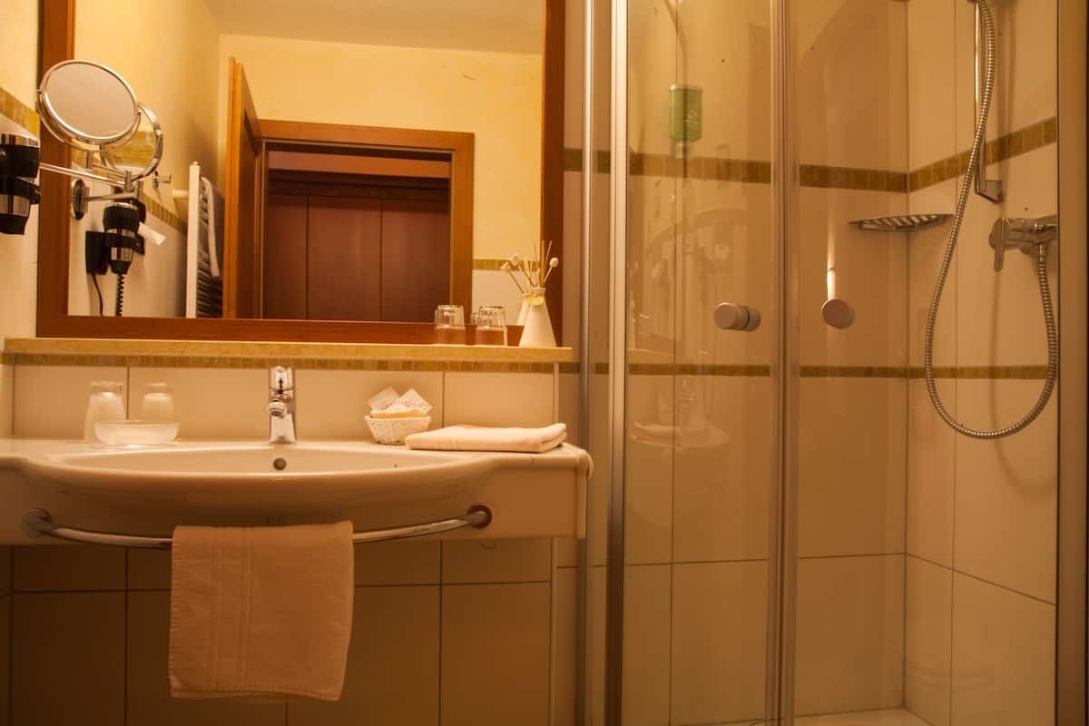 shower, free toiletries, hair dryer, slippers