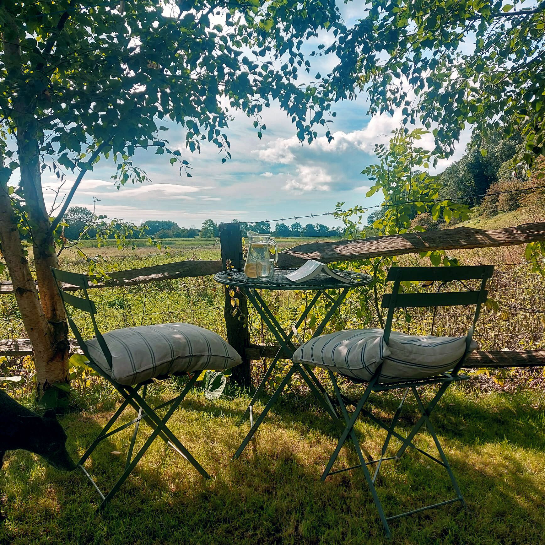 Une table installée à l’extérieur, avec des chaises, entourée de verdure et sous un ciel dégagé.