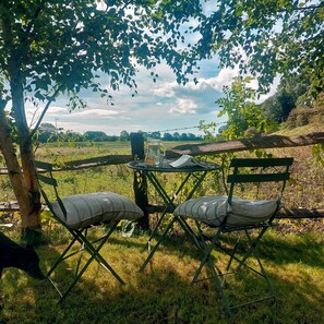 Miscellaneous - Strand House (Winchelsea)