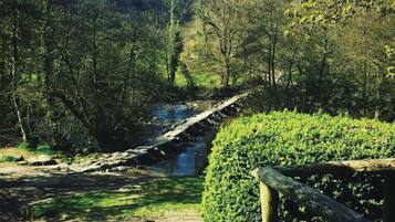 A natural landscape with a river, a wooden bridge, and a hedge.