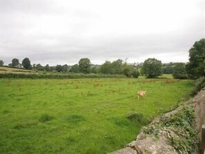 Property grounds - The Countryman's Inn (Bedale)