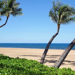 On the beach, free beach cabanas, sun loungers, beach umbrellas