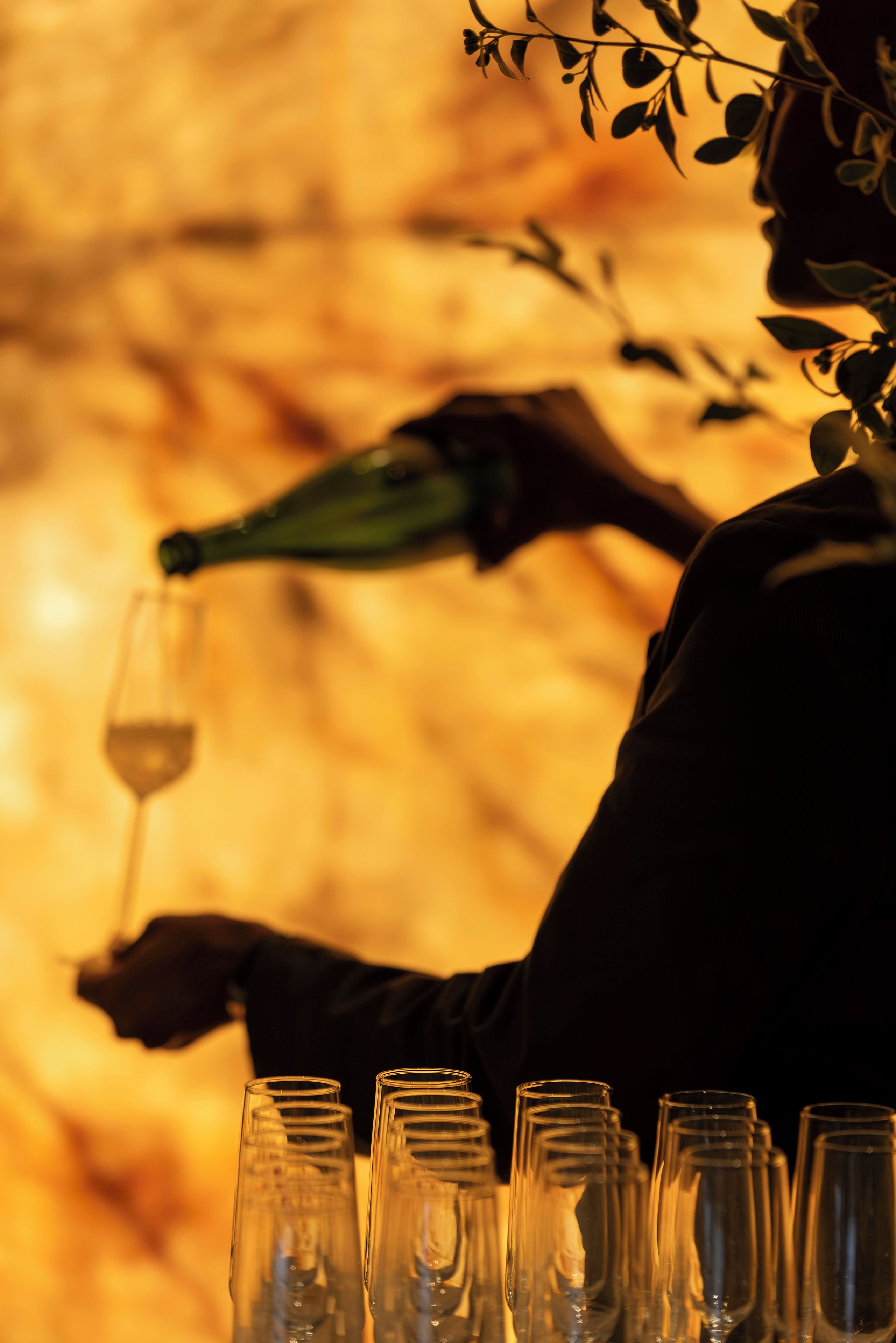 Eine Person gießt Wein in ein Glas, auf dem Tisch stehen mehrere leere Gläser.