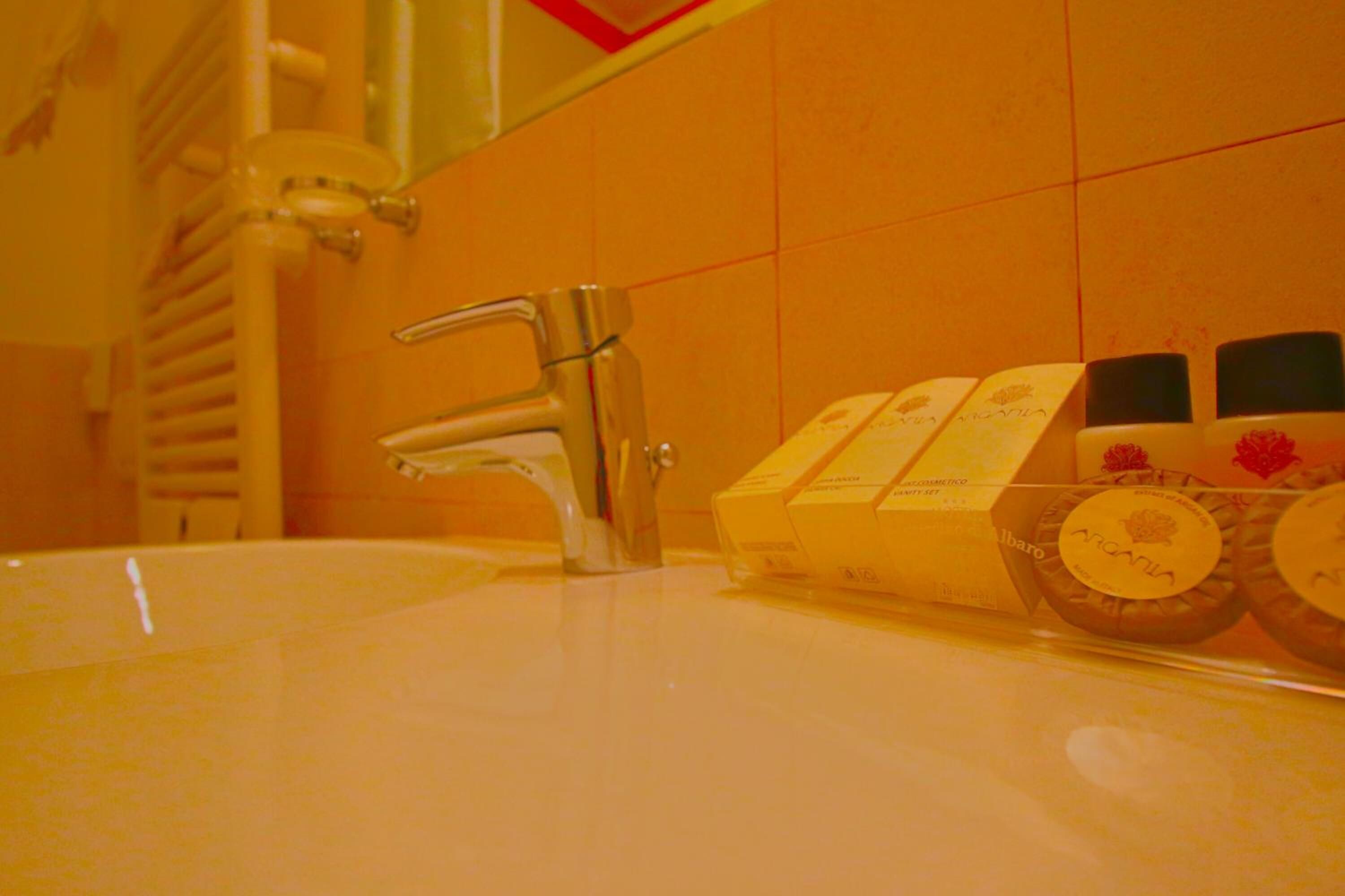 shower, free toiletries, hair dryer, bidet