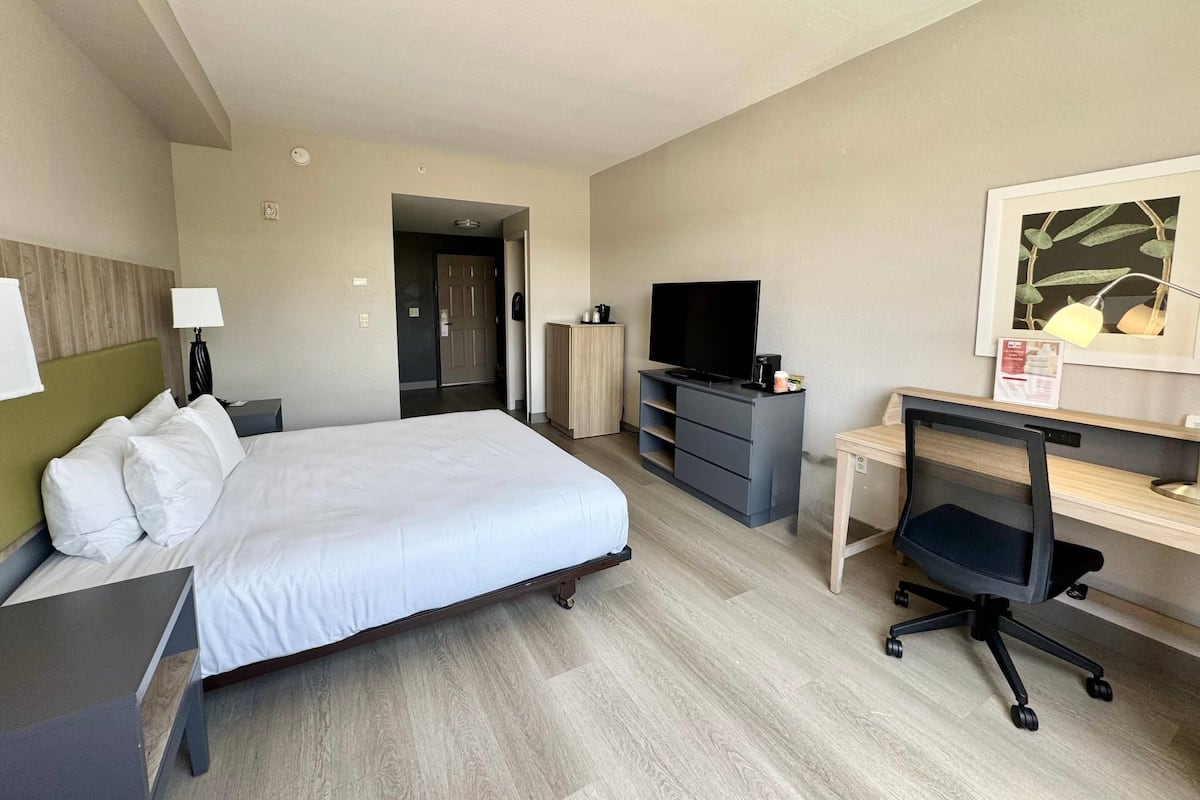 Room, 1 King Bed, Accessible, Non Smoking