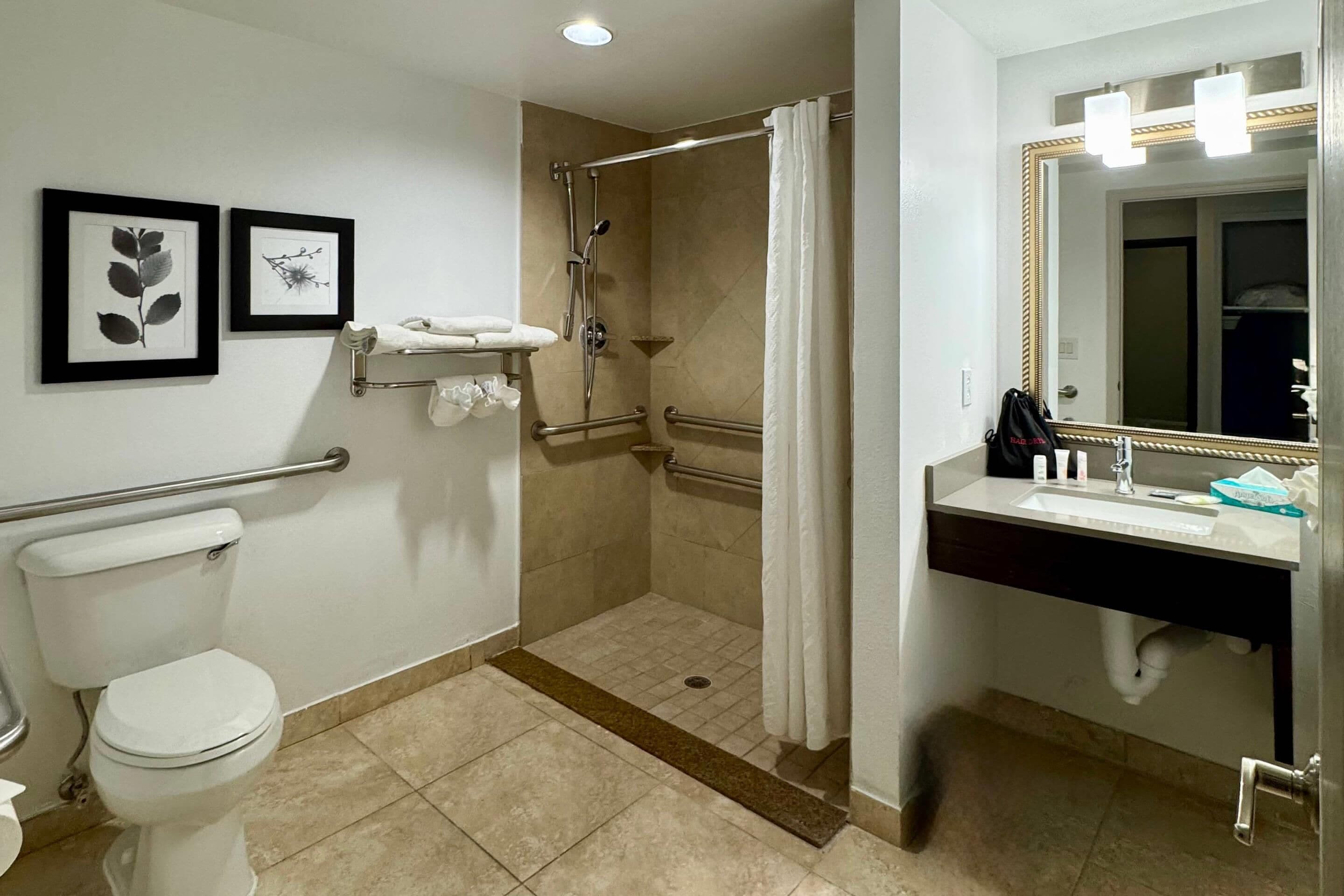 room, 1 king bed, accessible, non smoking (roll-in shower) | 1 bedroom, premium bedding, in-room safe, desk