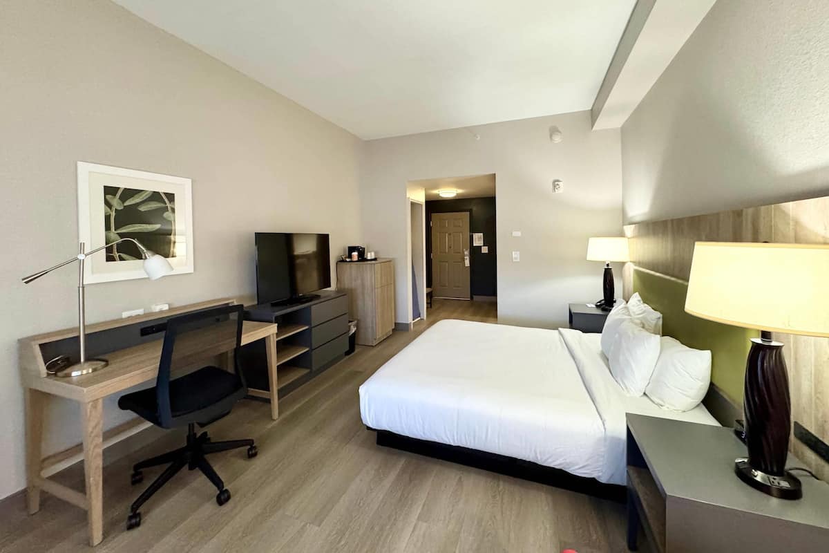 Kamar, 1 Tempat Tidur King, akses difabel, Bebas Asap Rokok (Roll-in Shower) | Seprai premium, meja kerja, tirai kedap cahaya, dan setrika/meja setrika