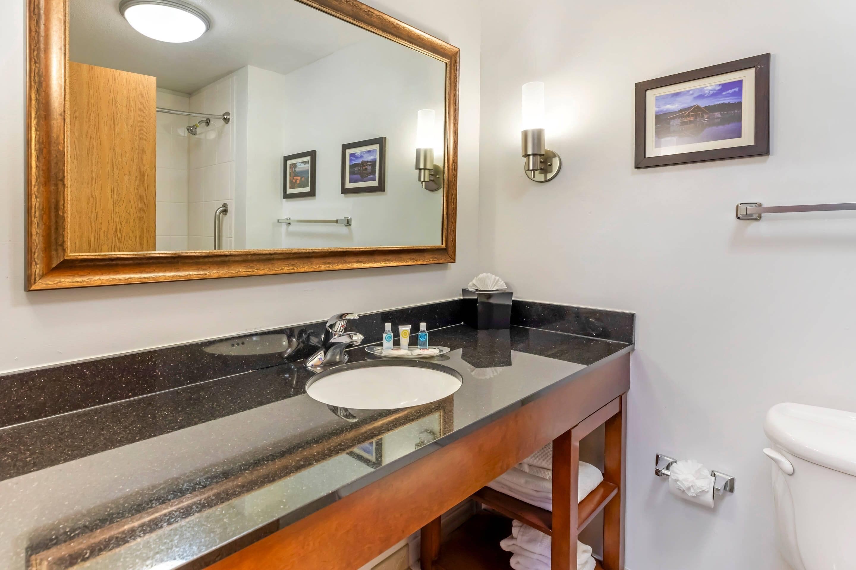 A bathroom with a large mirror, a sink, a toilet, and a towel rack.