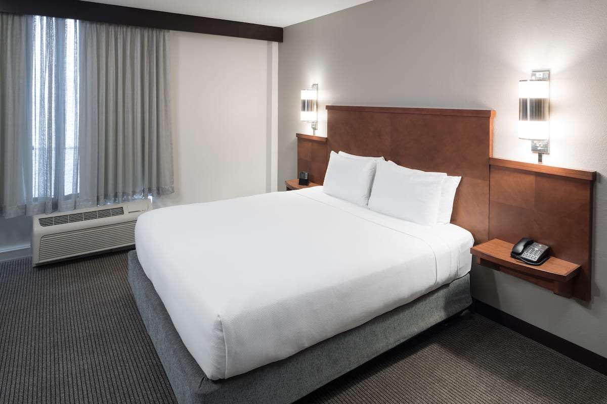 Chambre, 1 trÚs grand lit, accessible aux personnes à mobilité réduite (Roll-in Shower, Sofabed) | Coffres-forts dans les chambres, bureau, fer et planche à repasser