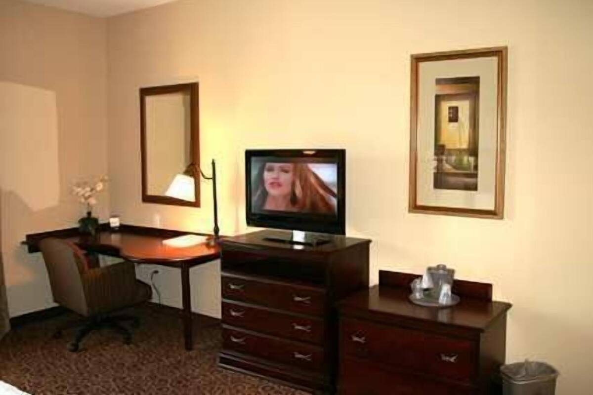 Una camera d'albergo con una scrivania, una sedia, televisione, comò e un quadro appeso al muro.