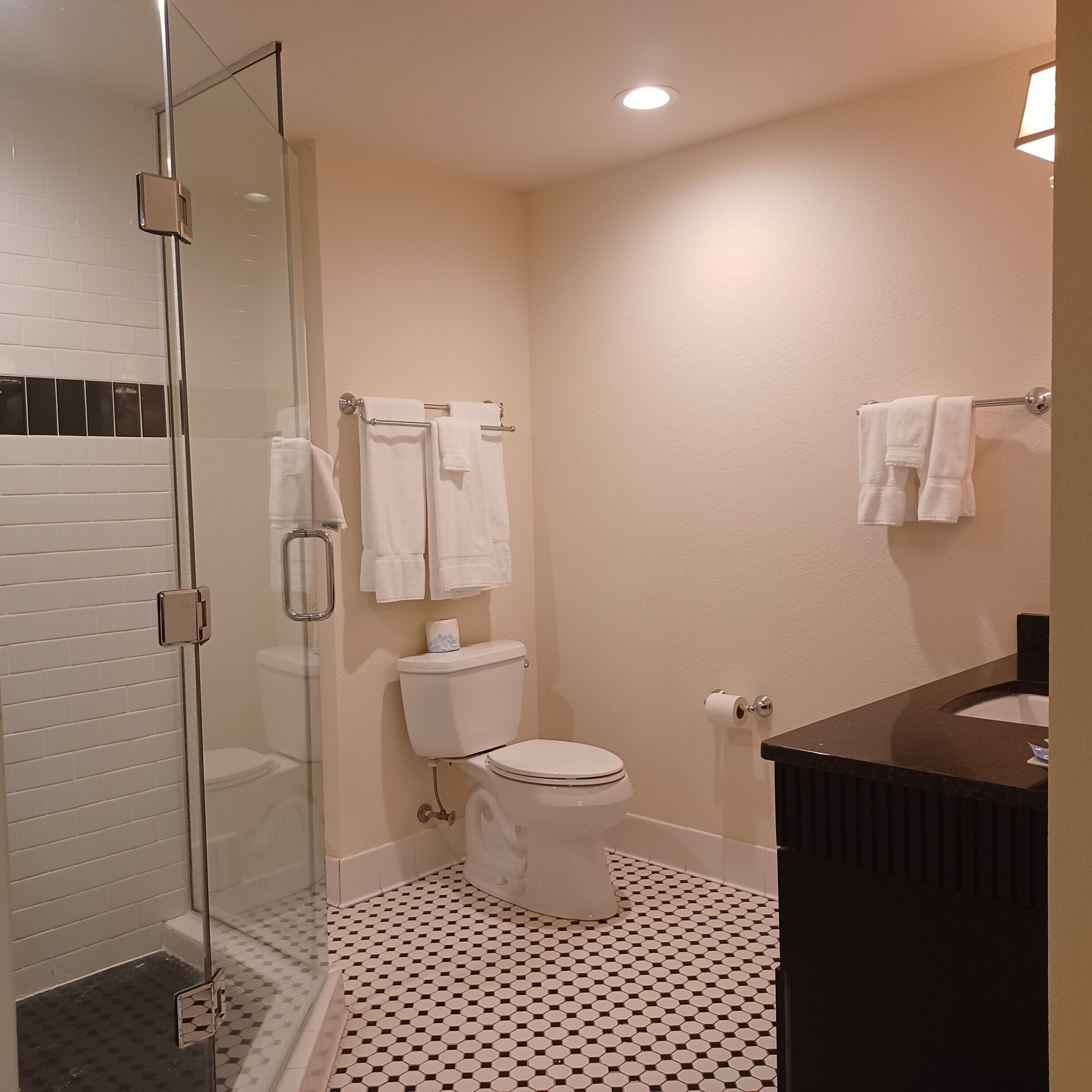 A bathroom with a glass shower enclosure, a toilet, and a sink with a dark countertop.