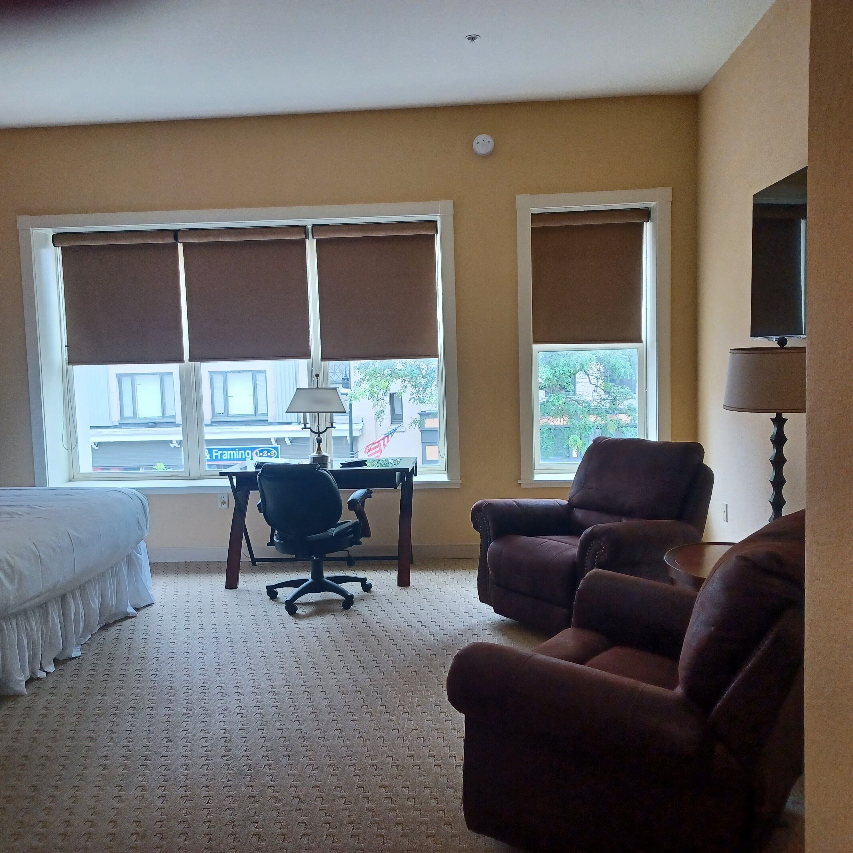 Deluxe Room, 1 King Bed, Jetted Tub, City View | View from room