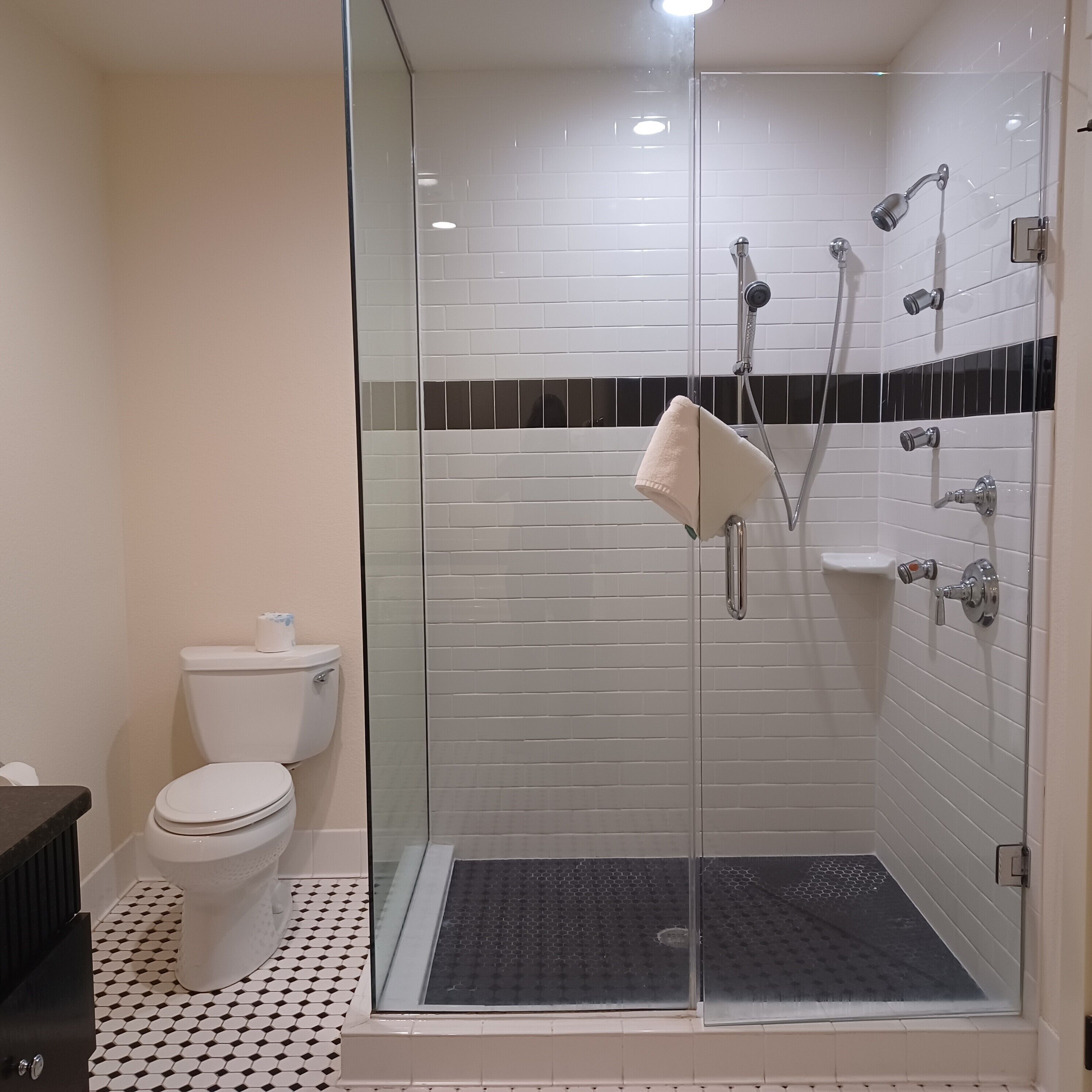 deluxe room, 1 king bed, jetted tub, city view | bathroom | free toiletries, hair dryer, bathrobes, towels