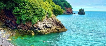 บีลล่า วิสต้า