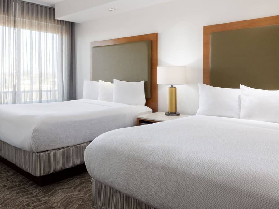 A hotel room with two beds, a large window with sheer curtains, a bedside table with a lamp, and a carpeted floor.