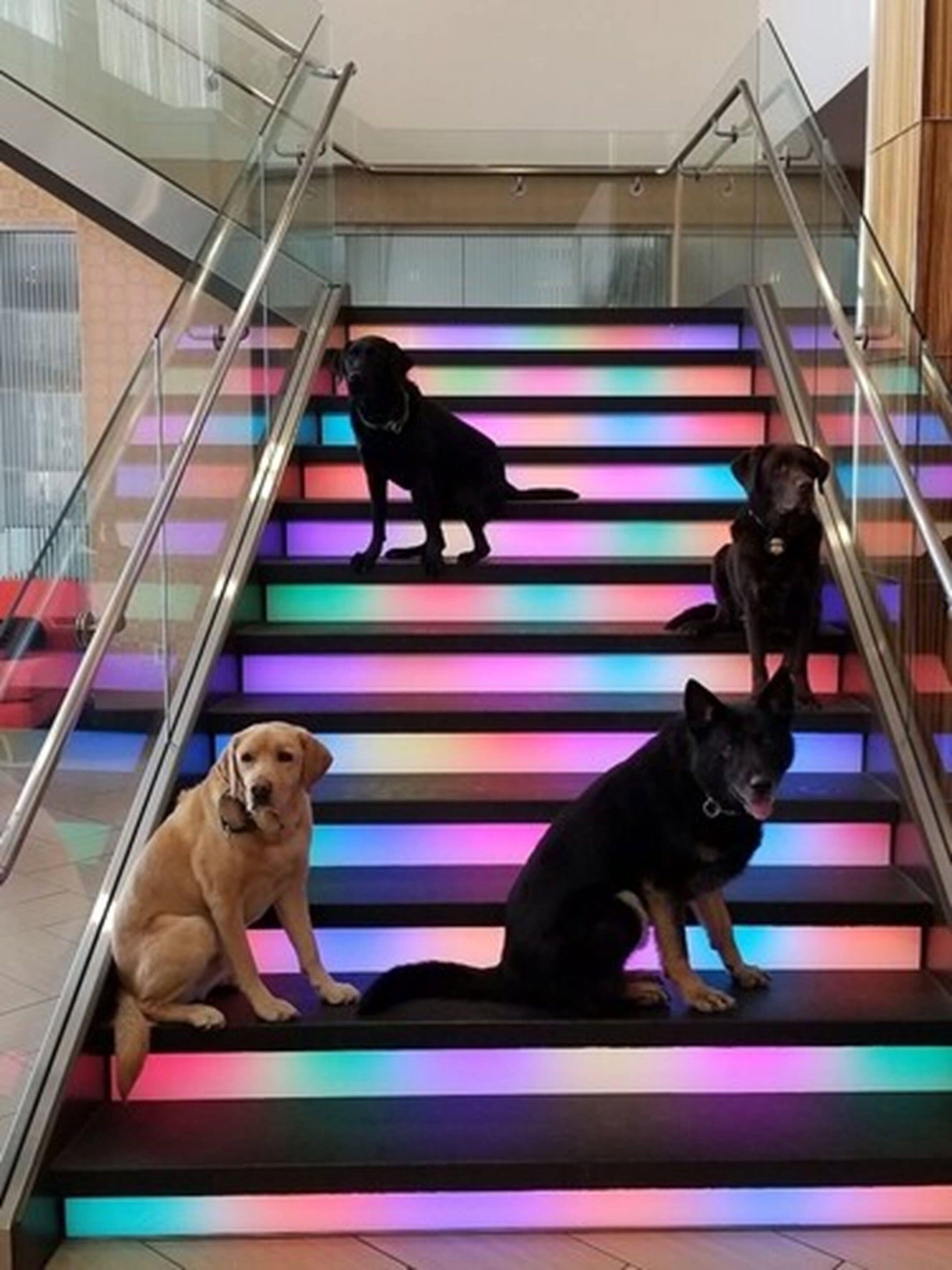 A staircase with glass railings and colorful LED lighting.