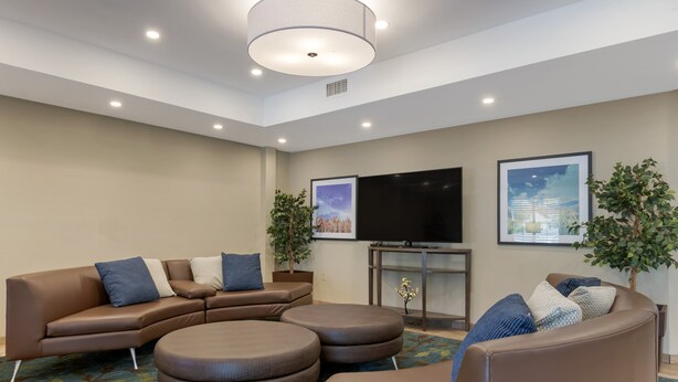 A modern living room with a sectional sofa, ottomans, a flat-screen TV, and two potted plants.