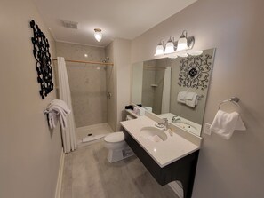 A modern bathroom with a walk-in shower, a toilet, a sink with a vanity, and a large mirror.