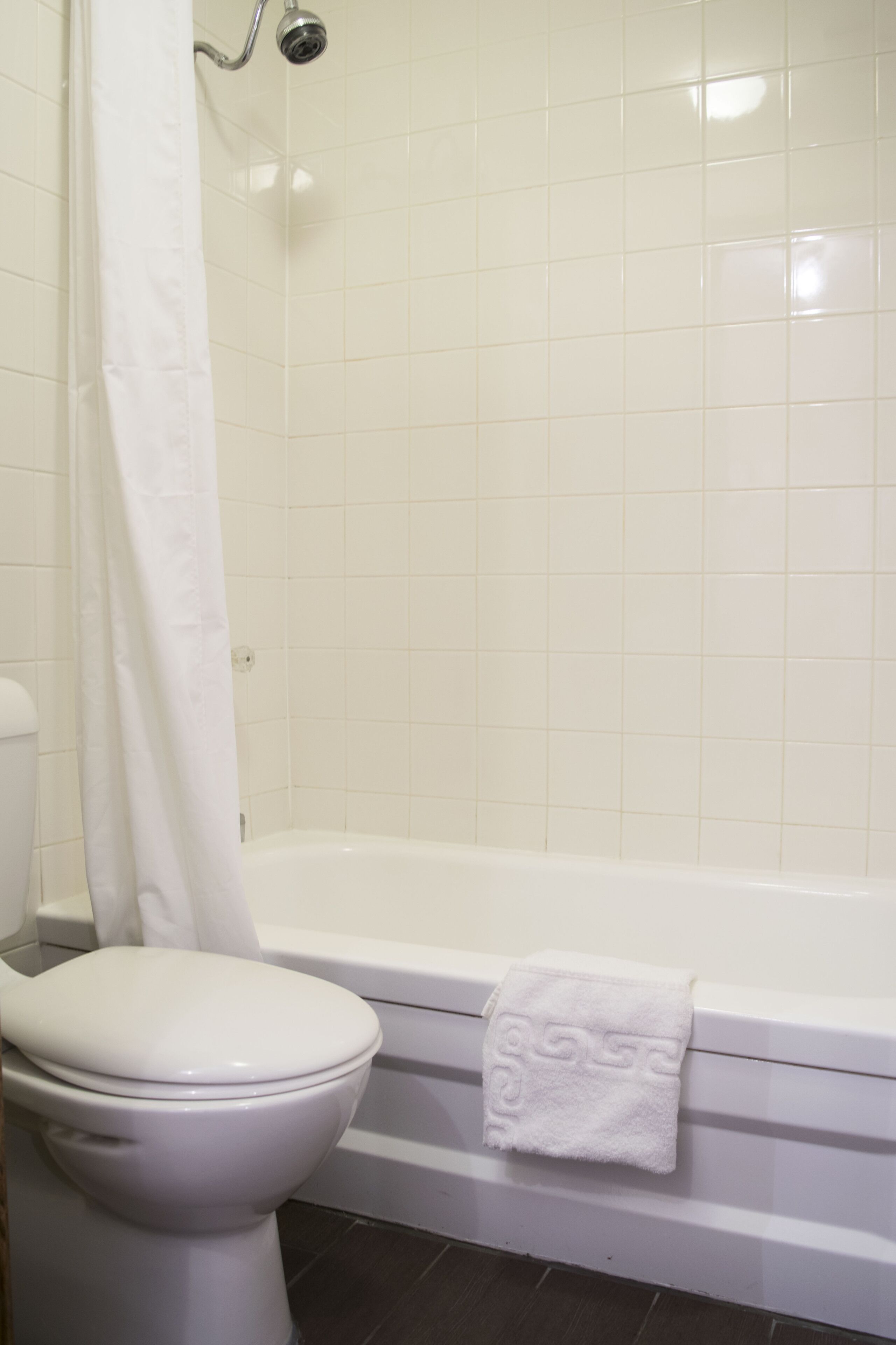 A bathroom with a toilet, bathtub, and shower curtain.