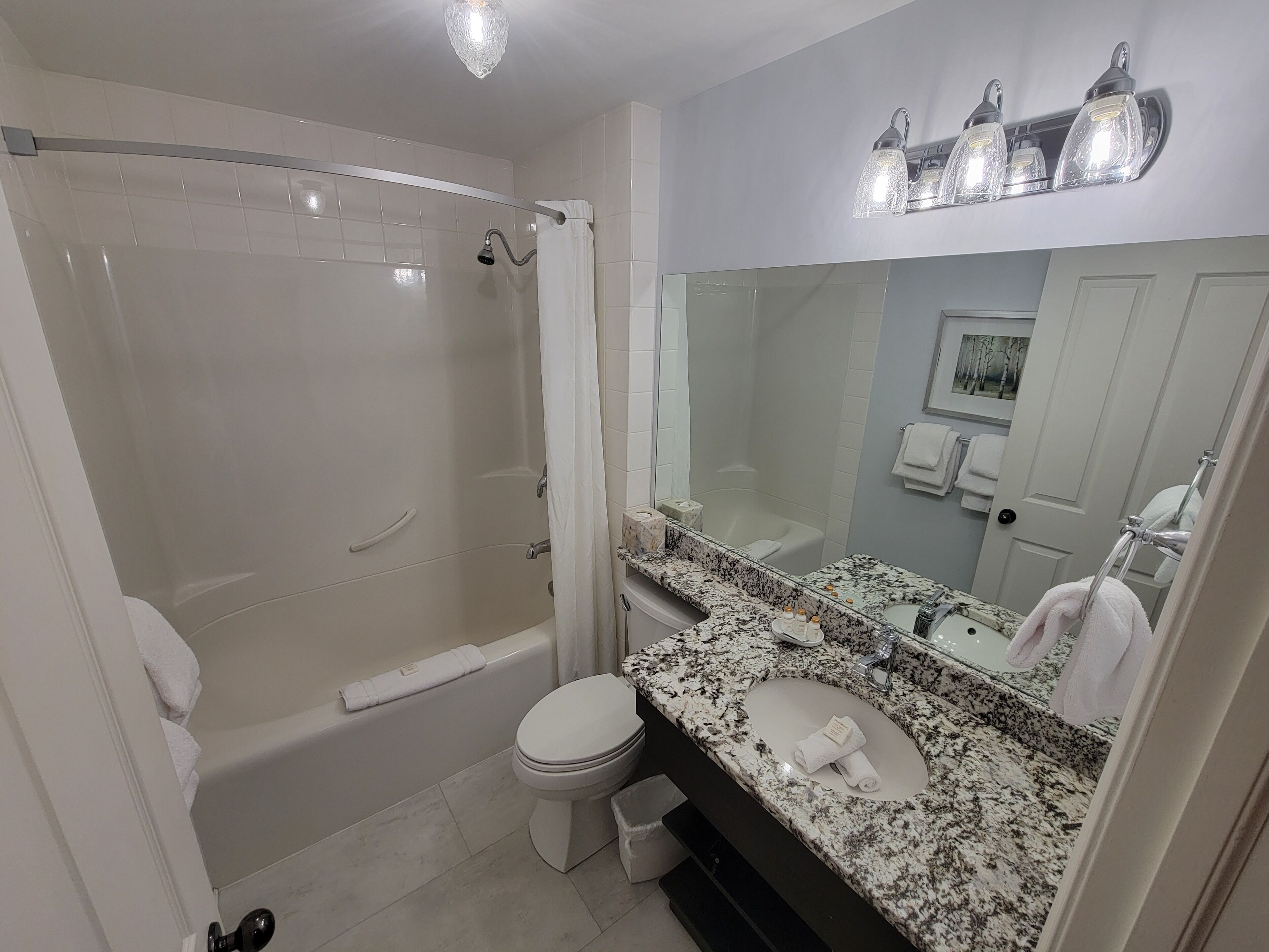 Une salle de bain avec une baignoire, des toilettes, un lavabo et un grand miroir.