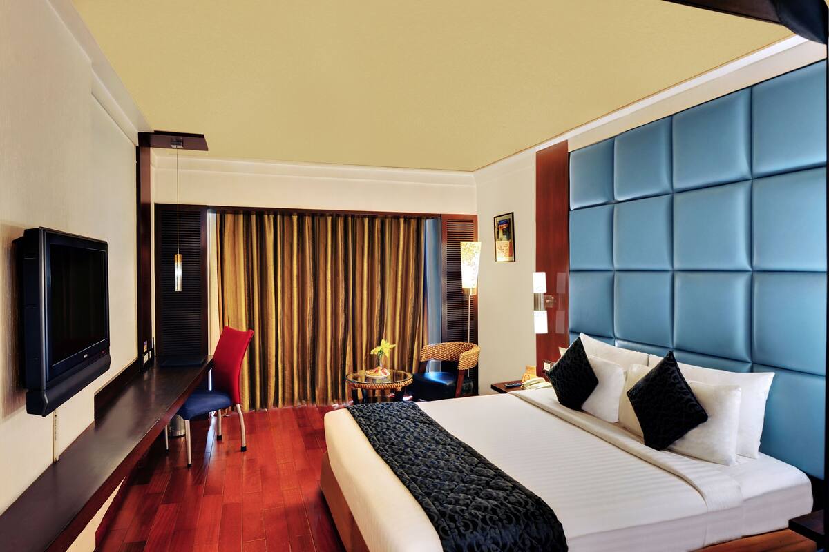 A hotel room with a large bed, a television, a red chair, a small table with a plant, and a blue headboard.