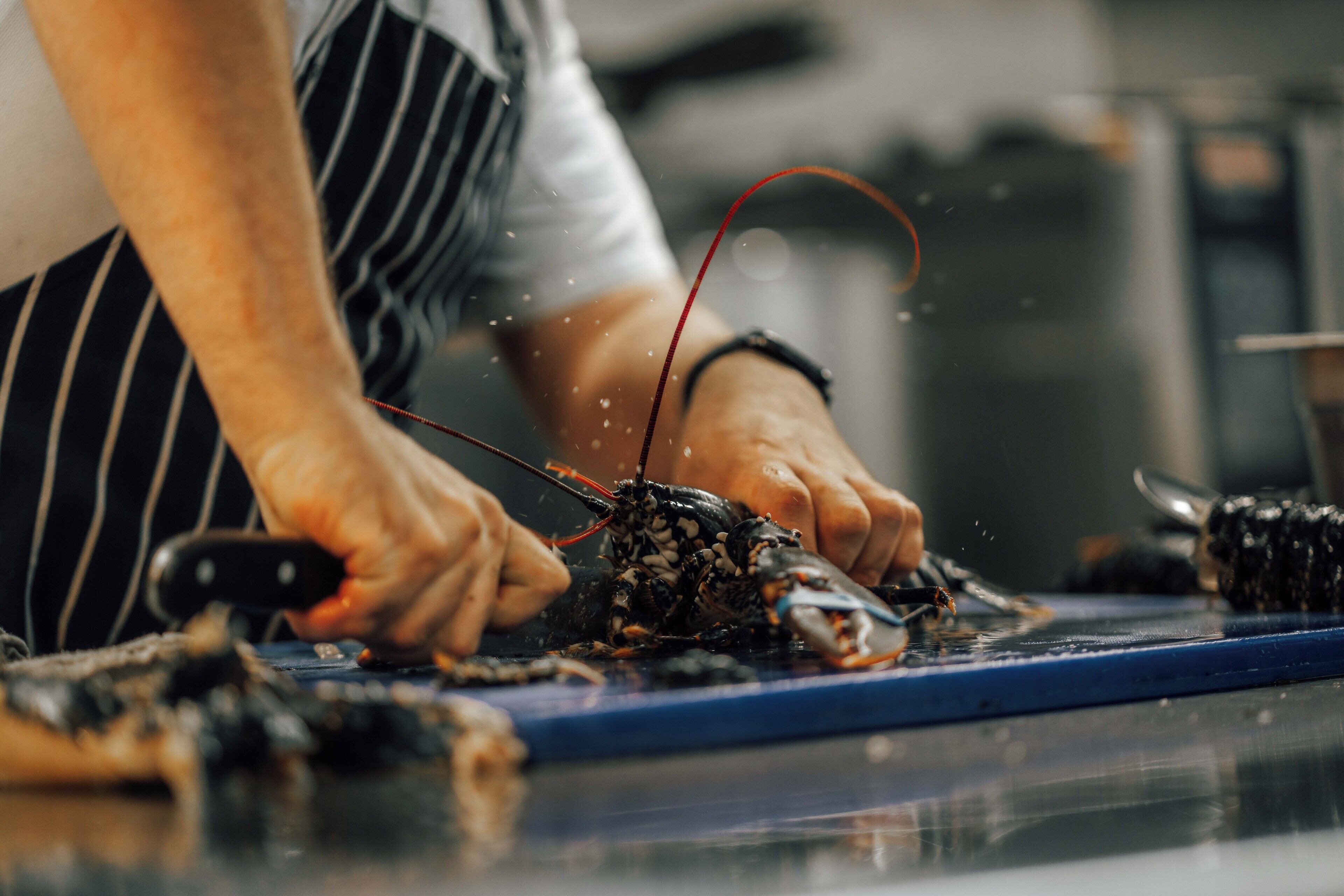 A person preparing food, specifically cutting a lobster on a cutting board.