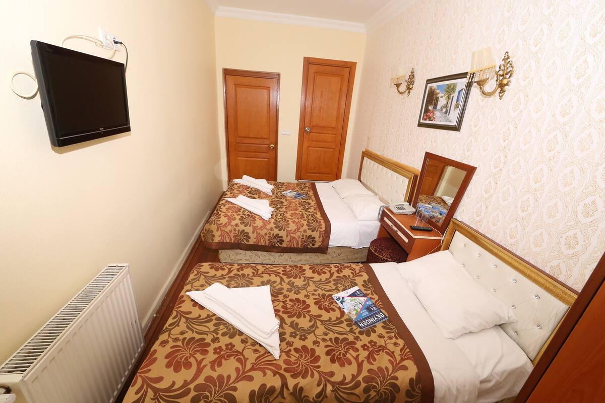 Quarto de hotel com duas camas, televisão, radiador e um quadro na parede.