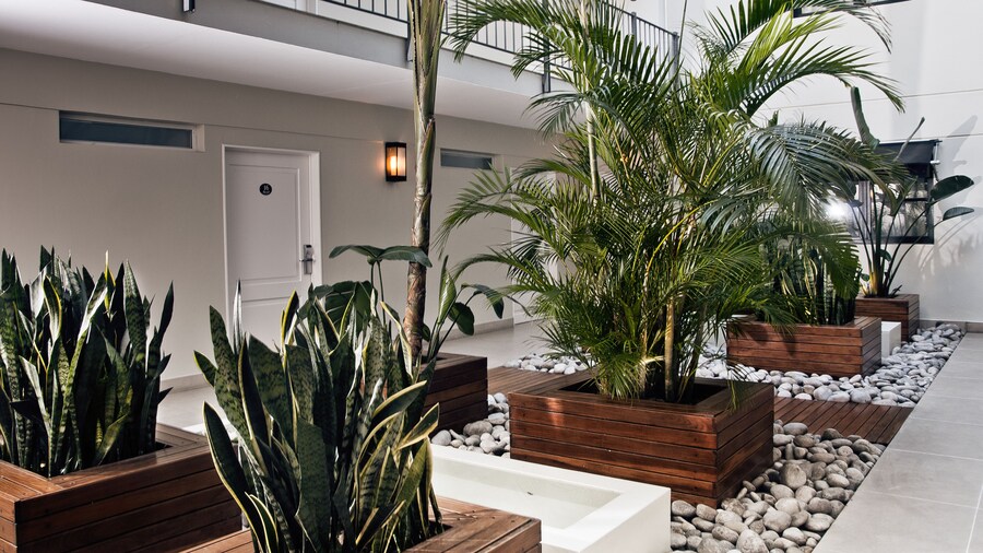 Nuss Hotel Buenos Aires Soho