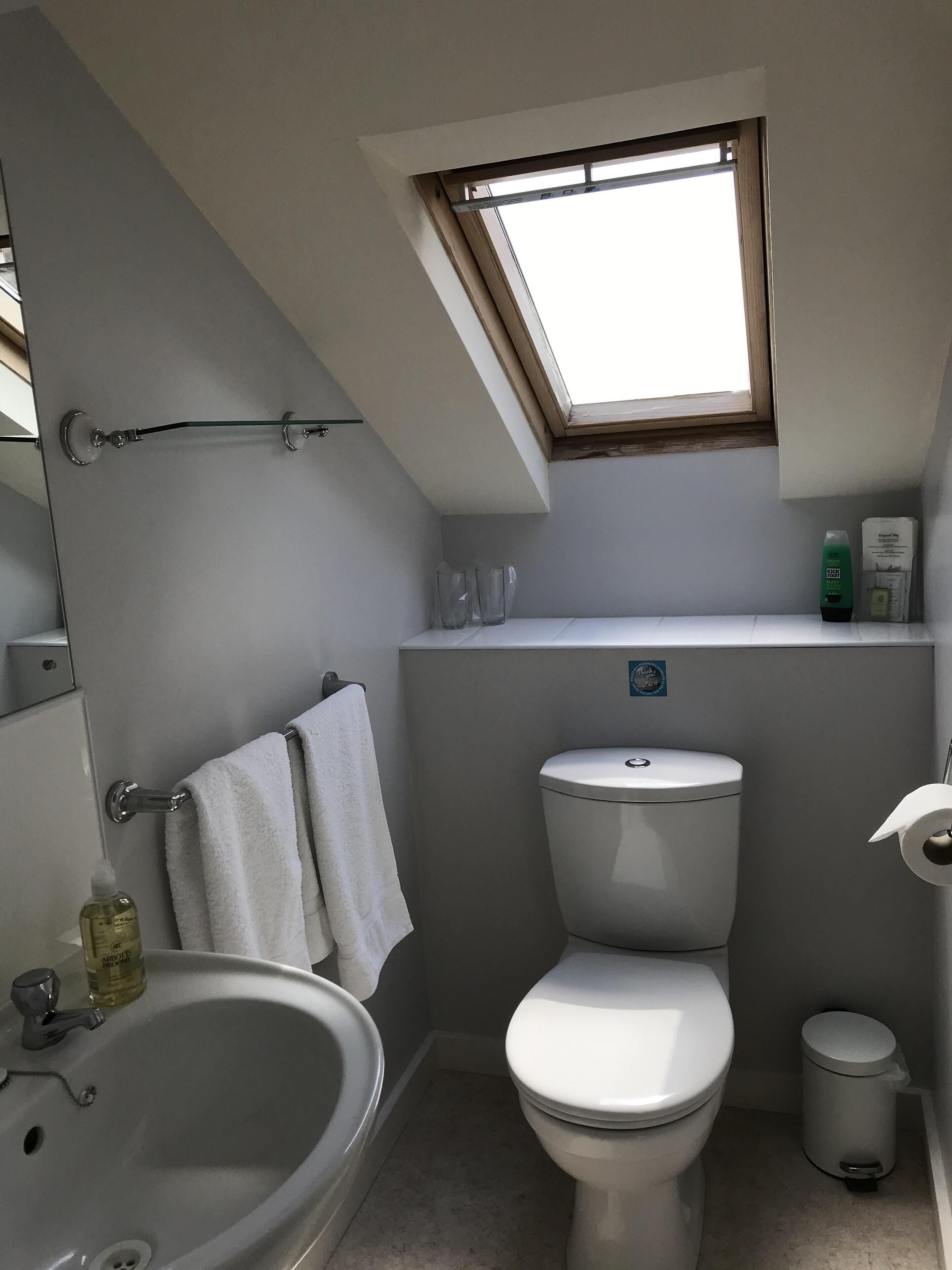 Une salle de bain avec un puits de lumière, des toilettes, un lavabo et une poubelle.