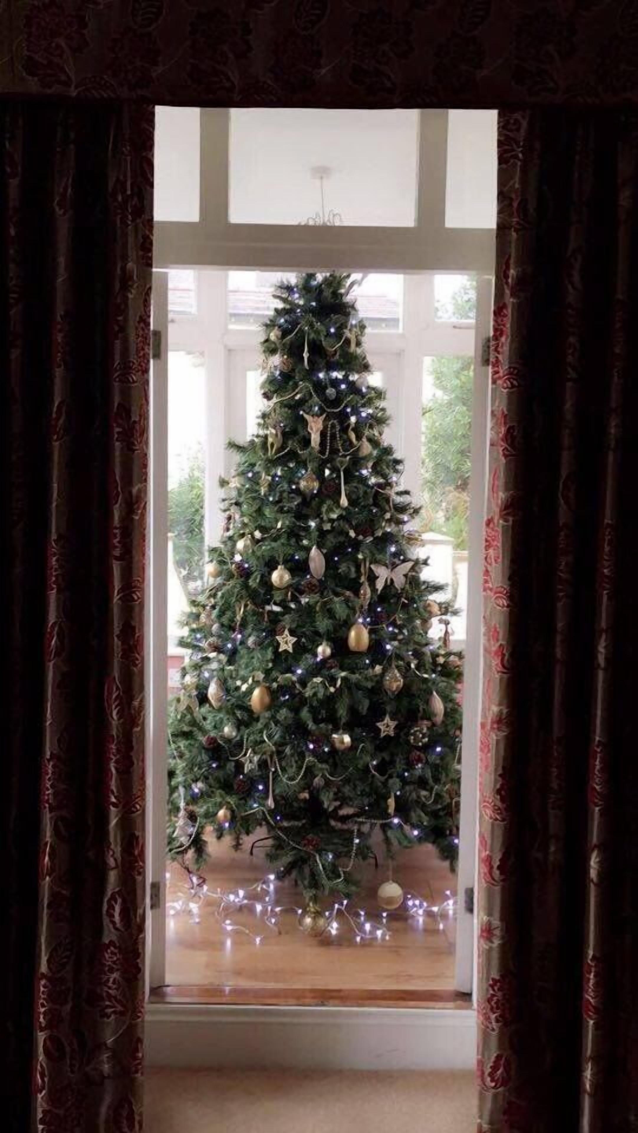 Un sapin de Noël décoré d’ornements et de guirlandes lumineuses, dans une pièce aux rideaux à motifs, avec une vue par la fenêtre.